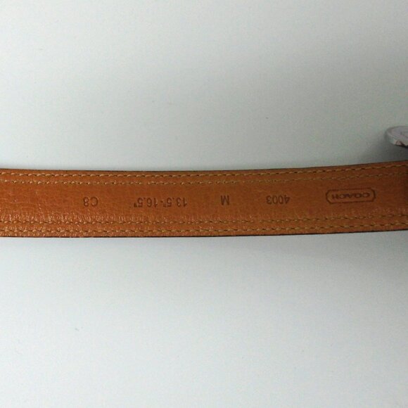NEW COACH BROWN LEATHER LILAC JACQUARD SIGNATURE C DOG PET COLLAR 4003 SZ MEDIUM - Picture 12 of 14